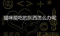 貓咪能吃的東西怎么辦呢？貓咪能吃是不是就沒什么問題