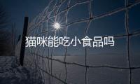 貓咪能吃小食品嗎