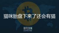 貓咪胎盤下來了還會有貓咪嗎(貓咪胎盤下來是不就生完了)