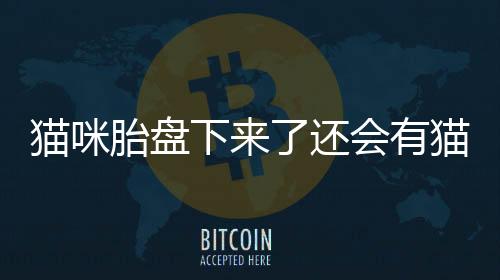 貓咪胎盤下來了還會有貓咪嗎(貓咪胎盤下來是不就生完了)