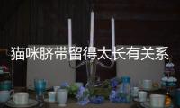 貓咪臍帶留得太長有關(guān)系嗎