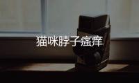 貓咪脖子瘙癢