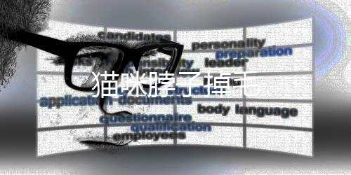 貓咪脖子掉毛