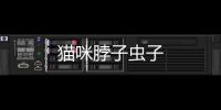 貓咪脖子蟲子