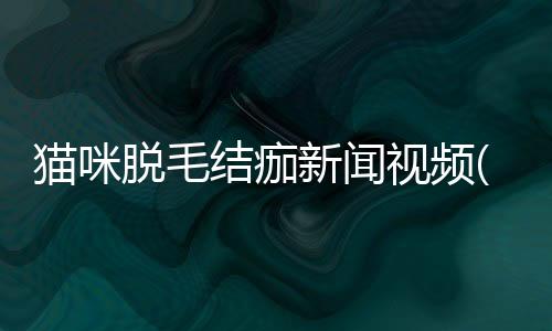 貓咪脫毛結痂新聞視頻(貓脫毛結痂怎么處理)