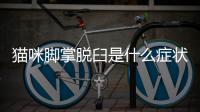 貓咪腳掌脫臼是什么癥狀圖片？貓咪腳趾脫臼能復原嗎