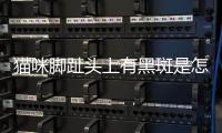 貓咪腳趾頭上有黑斑是怎么回事啊(貓咪腳趾里有黑色東西是什么皮膚病?)