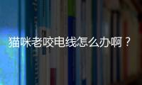 貓咪老咬電線怎么辦啊？貓愛咬電線是缺什么微量元素嗎