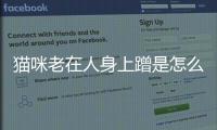 貓咪老在人身上蹭是怎么回事(貓咪往你身上蹭是什么意思)