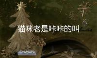 貓咪老是咔咔的叫