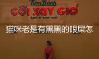 貓咪老是有黑黑的眼屎怎么回事？貓咪老是有黑色的眼屎