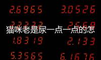 貓咪老是尿一點(diǎn)一點(diǎn)的怎么回事(貓咪老是亂尿怎么解決)