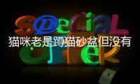 貓咪老是蹲貓砂盆但沒有尿，貓咪老是蹲貓砂盆但尿便正常