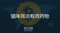 貓咪耳炎有效藥物