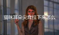 貓咪耳朵尖耷拉下來(lái)怎么回事？貓咪耳朵尖耷拉下來(lái)是為什么