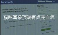 貓咪耳朵頂端有點充血怎么回事？貓咪耳朵充血怎么回事