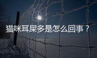 貓咪耳屎多是怎么回事？貓咪耳屎多