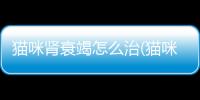 貓咪腎衰竭怎么治(貓咪腎衰竭是怎么引起的)