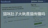 貓咪肚子大就是貓傳腹嗎？我家貓肚子大 但是很重 會不會是貓傳腹