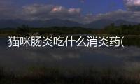 貓咪腸炎吃什么消炎藥(貓咪口炎吃什么消炎藥)