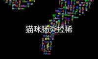 貓咪腸炎拉稀