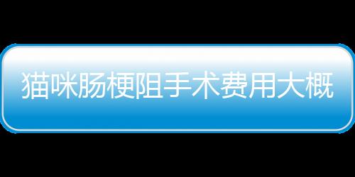 貓咪腸梗阻手術(shù)費(fèi)用大概多少錢(貓咪腸梗阻手術(shù)風(fēng)險(xiǎn)大嗎)