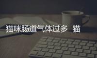 貓咪腸道氣體過多  貓咪腸道氣體怎么排出