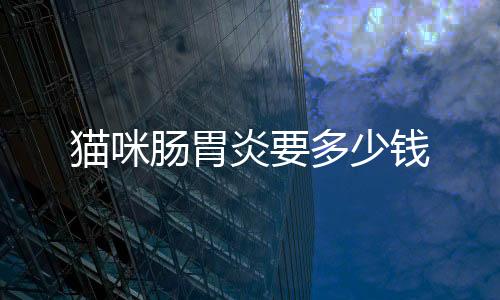 貓咪腸胃炎要多少錢