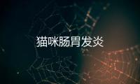 貓咪腸胃發炎
