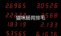 貓咪腸胃排毛