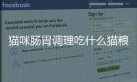 貓咪腸胃調理吃什么貓糧(貓咪腸胃調理益生菌能長期吃嗎)