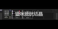 貓咪膀胱結晶