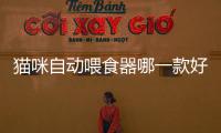 貓咪自動喂食器哪一款好用(貓咪自動喂食器有必要買嗎)