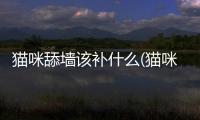 貓咪舔墻該補什么(貓咪舔塑料袋是缺什么)