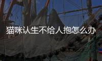 貓咪認生不給人抱怎么辦？貓不認生誰來都讓抱