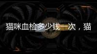 貓咪血檢多少錢一次，貓咪血檢查多少錢