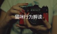 貓咪行為解讀