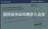 貓咪被傳染耳螨多久會發病(貓咪被傳染耳螨后幾天會有癥狀)