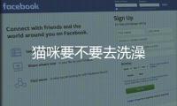 貓咪要不要去洗澡