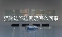貓咪邊吃邊爬奶怎么回事？貓邊吃邊蹭你表示什么