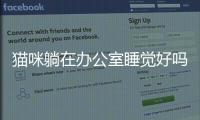 貓咪躺在辦公室睡覺好嗎？貓咪躺在辦公室睡覺代表什么