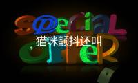 貓咪顫抖還叫
