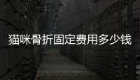 貓咪骨折固定費用多少錢