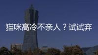 貓咪高冷不親人？試試棄貓效應(yīng)，讓貓咪秒變粘人怪