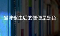 貓咪驅(qū)蟲后的便便是黑色的(貓咪驅(qū)蟲后的便便有點稀)