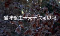 貓咪驅蟲一天一次可以嗎(貓咪驅蟲幾天跳蚤可以干凈)