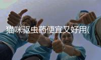 貓咪驅蟲藥便宜又好用(貓咪驅蟲藥什么牌子的好)
