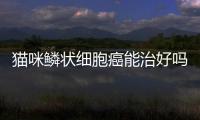 貓咪鱗狀細胞癌能治好嗎能活多久？貓咪鱗狀細胞癌癥狀