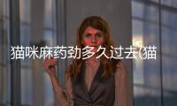 貓咪麻藥勁多久過去(貓咪麻藥過敏)