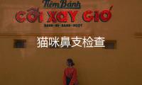 貓咪鼻支檢查